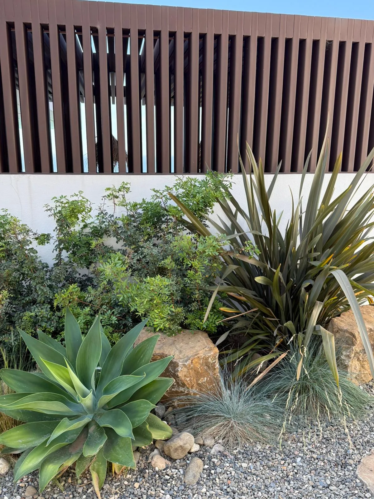 Composición de roca natural, agave y gramíneas junto a arquitectura contemporánea