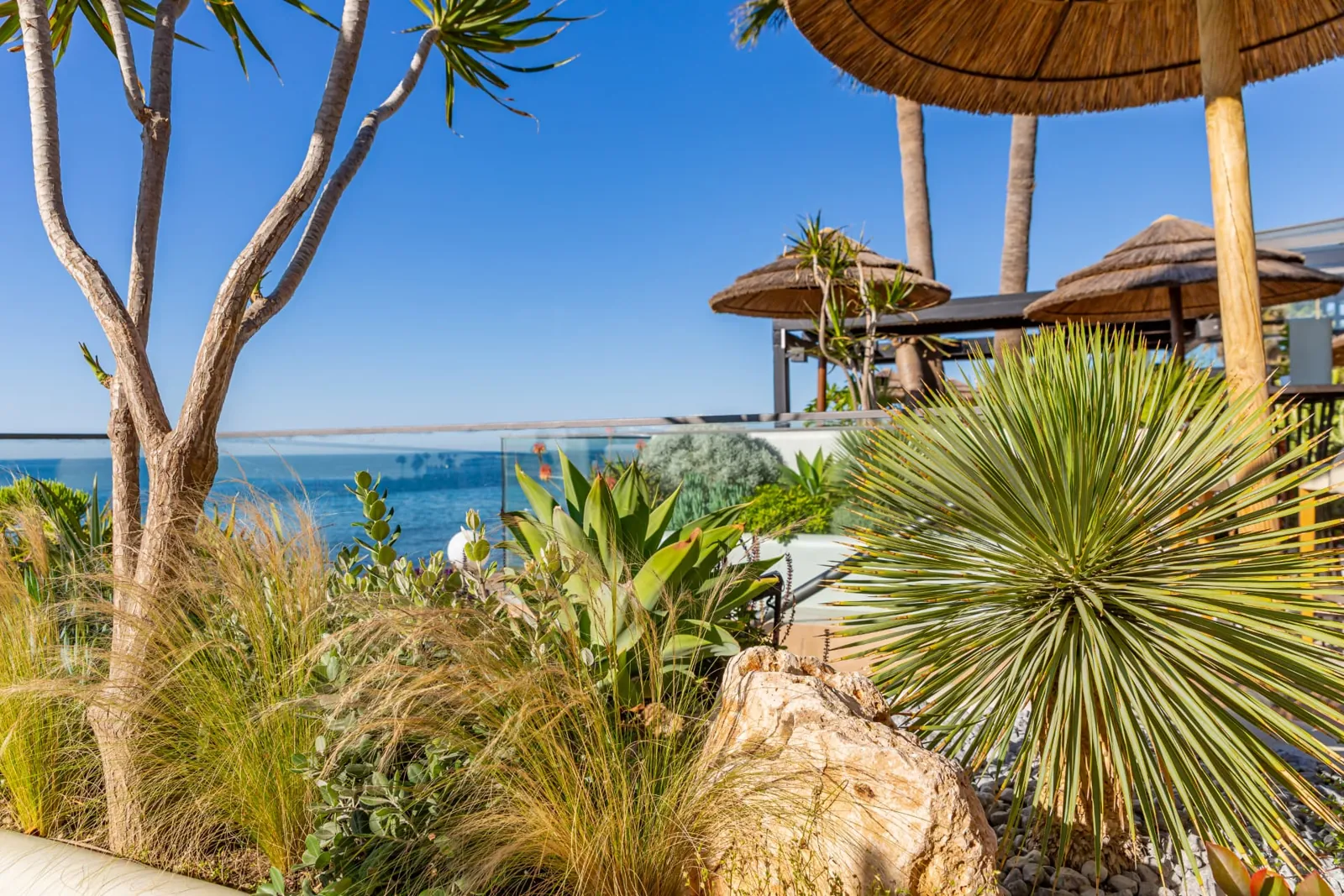 Reforma paisajística de espacio exterior en Max Beach con vegetación mediterránea junto al mar