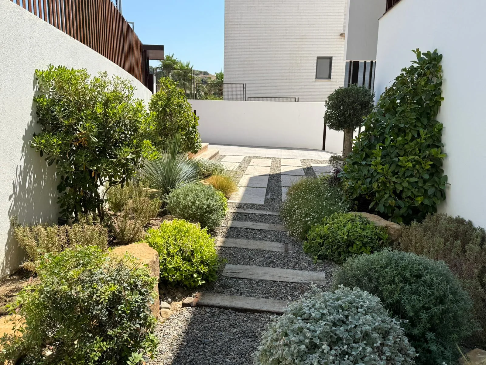 Jardín contemporáneo mediterráneo con sendero de piedra y vegetación de bajo mantenimiento