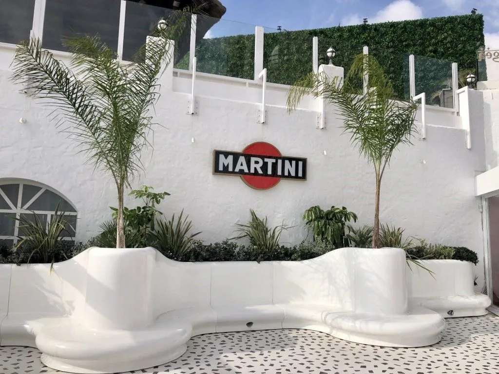 Palmeras jóvenes plantadas en jardinera de terraza en Puerto Banús